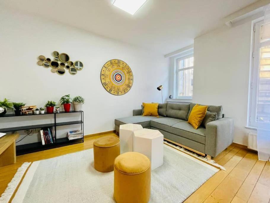 Large 2 Bedrooms Flat In Center Appartement
